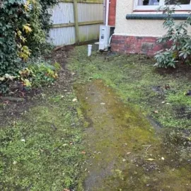 After: Cleared garden path after vegetation removal and tidy-up service in Mornington