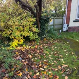 Before: Leaf-covered path and overgrown garden edge before vegetation removal in Mornington