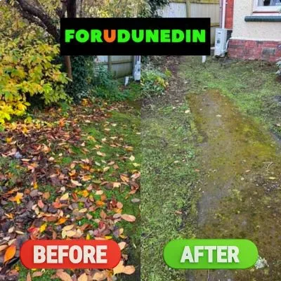 Before & After: Vegetation removal and path clean-up completed in Mornington, Dunedin.