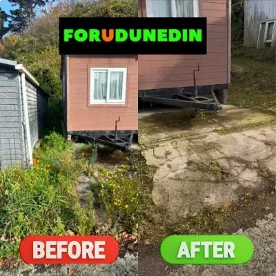 Before & After: Weed and vegetation removal around driveway area in Opoho, Dunedin.