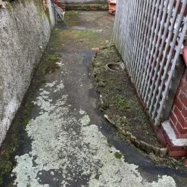 After: Narrow path cleared of weeds with garden edge tidied in North Dunedin.