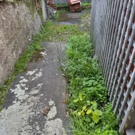Before: Narrow path with weeds and overgrown garden edge before clean-up in North Dunedin.
