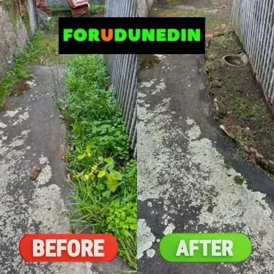 Before & After: Weed removal and path clean-up beside the garden edge in North Dunedin.