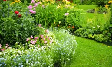 Well-maintained residential yard in Dunedin showing lawn, garden beds, and general yard maintenance.