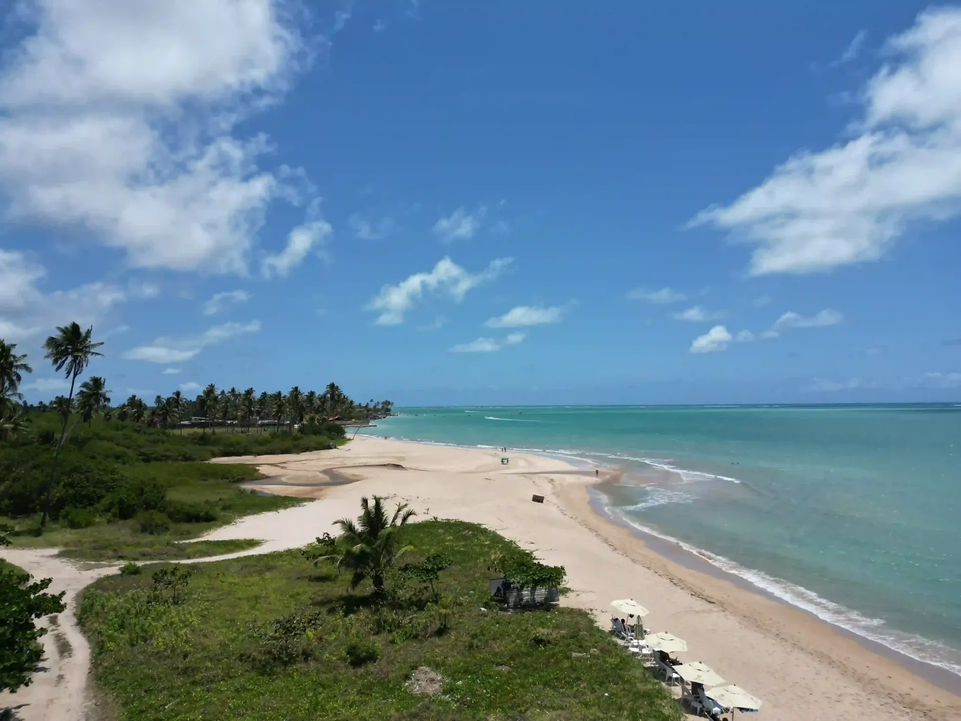 Uma praia com guarda-sóis e palmeiras em um dia ensolarado-hotel-praia-dourada-maragogi-park