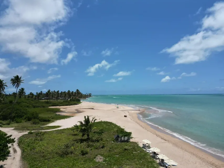 Praia tropical com areia branca, água turquesa, palmeiras e céu azul parcialmente nublado.