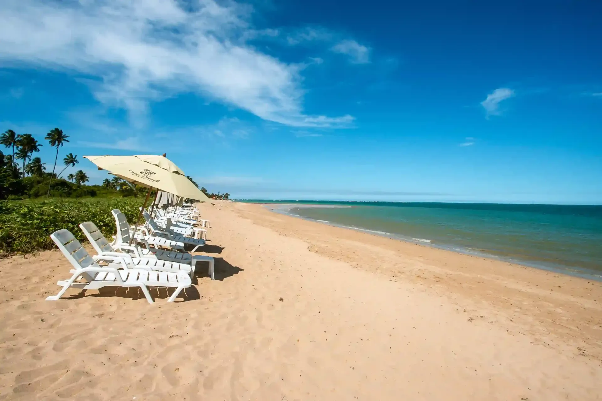 Há muitas cadeiras e guarda-sóis na praia.-Hotel-Praia-Dourada-Maragogi-Park