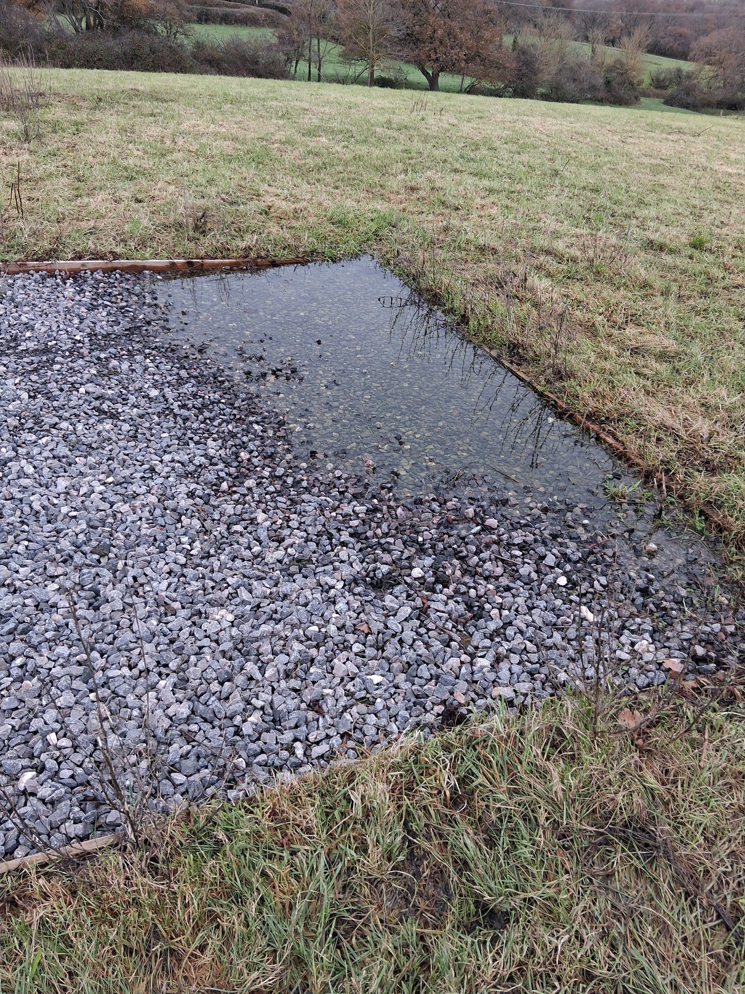 Gravel area filled with water next to a grassy field. Trees in the background.