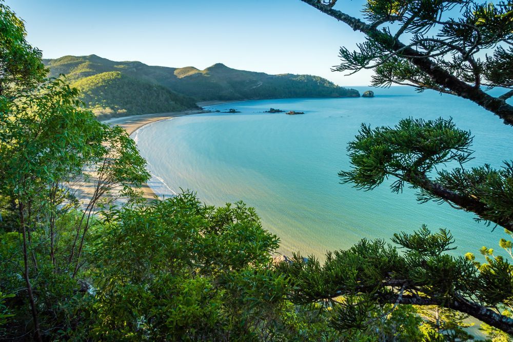 A View of a Large Body of Water Surrounded by Trees and Mountains — We Clean Lounges In Twin Waters, QLD