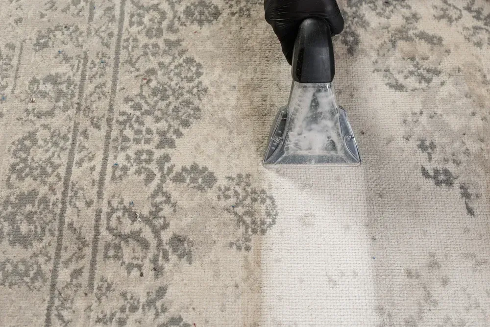 A hand wearing a black glove uses a carpet cleaning vacuum on a patterned beige and grey rug. — We Clean Lounges In Palmview, QLD