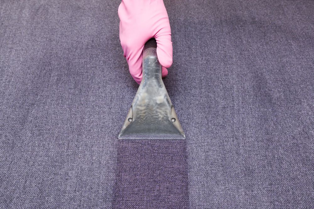A Person Wearing Pink Gloves is Cleaning a Purple Couch — We Clean Lounges In Peregian Waters, QLD