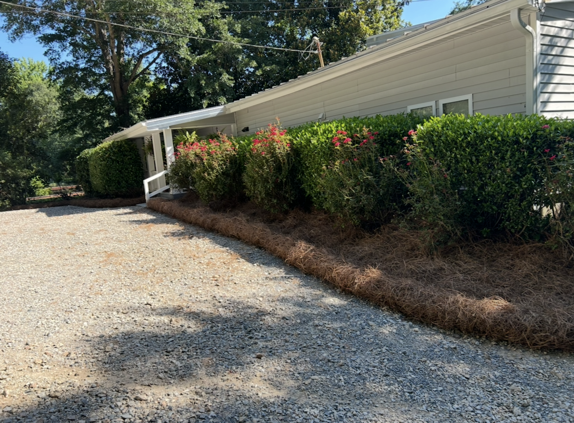 Gravel driveway beside a white house, bordered by green hedges and trees in bright daylight.