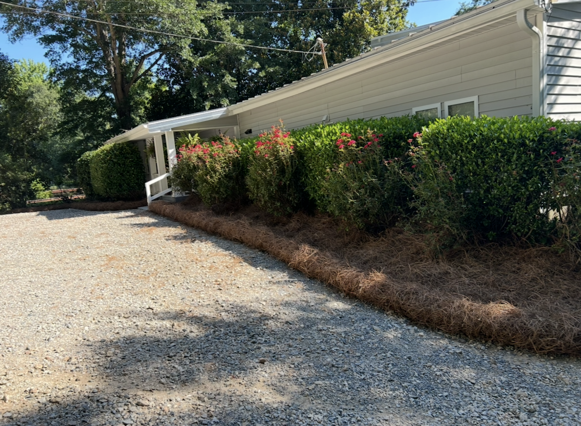 Gravel driveway beside a hedged house under trees, with a sunlit roofline and brick edging.