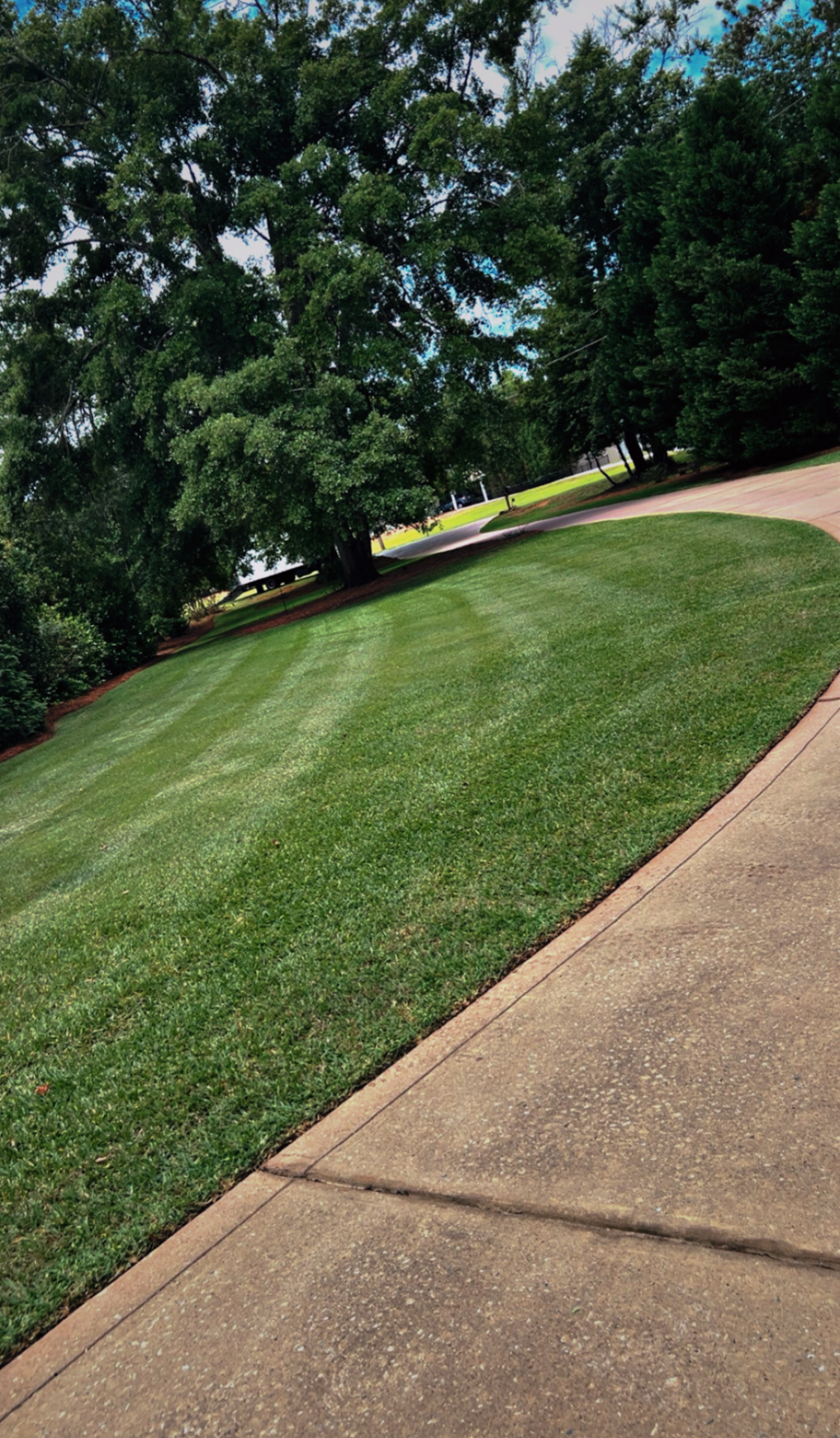 Sloped grassy lawn beside a concrete sidewalk, with trees in the background.