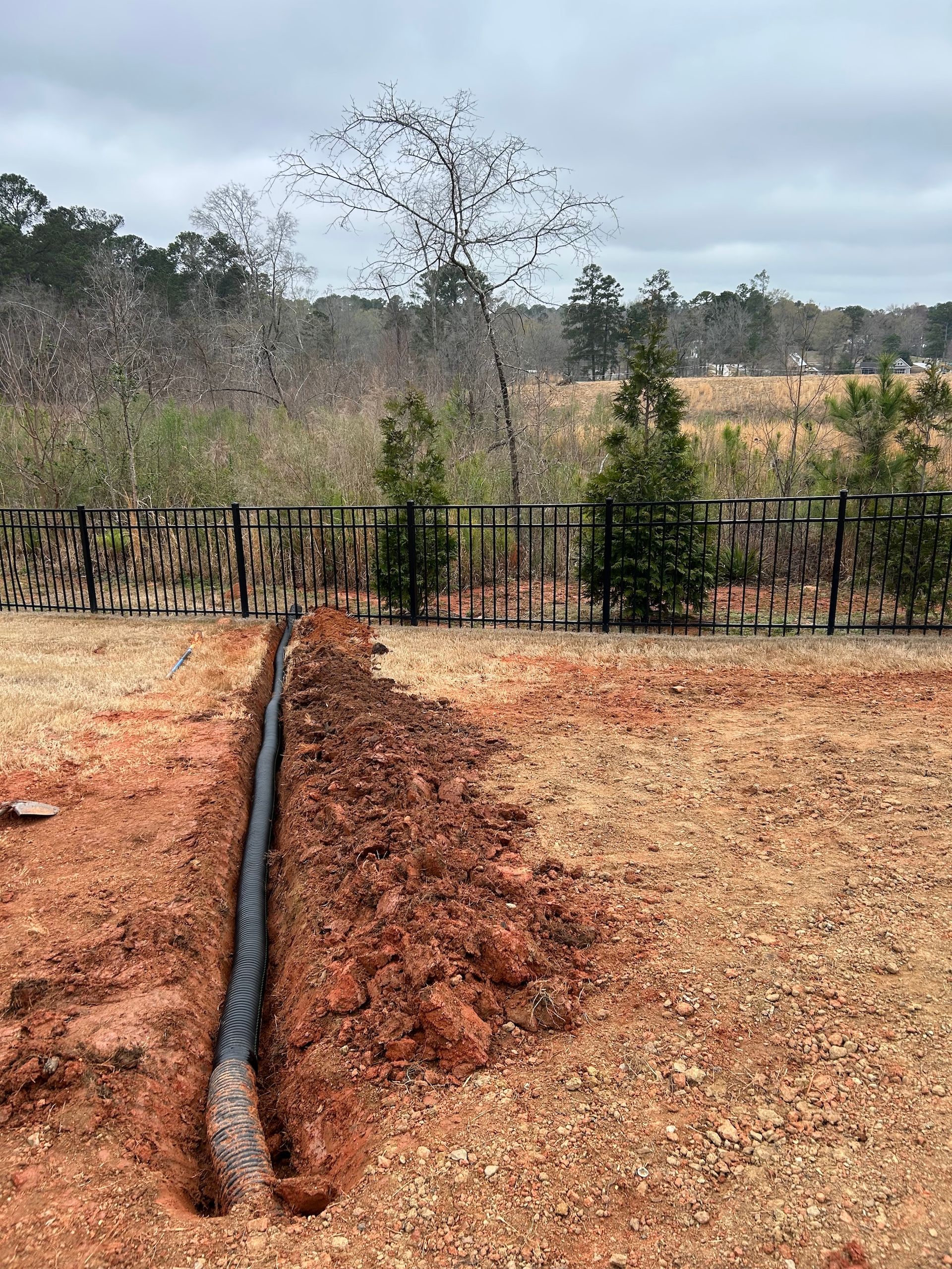 A black irrigation hose runs through a dry field toward a fence and leafless trees.