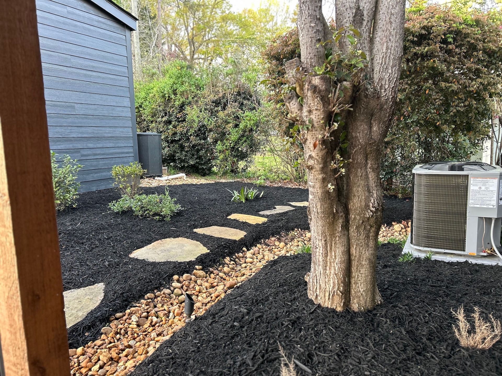 Backyard garden with black mulch, stepping stones, and a large tree beside a shed