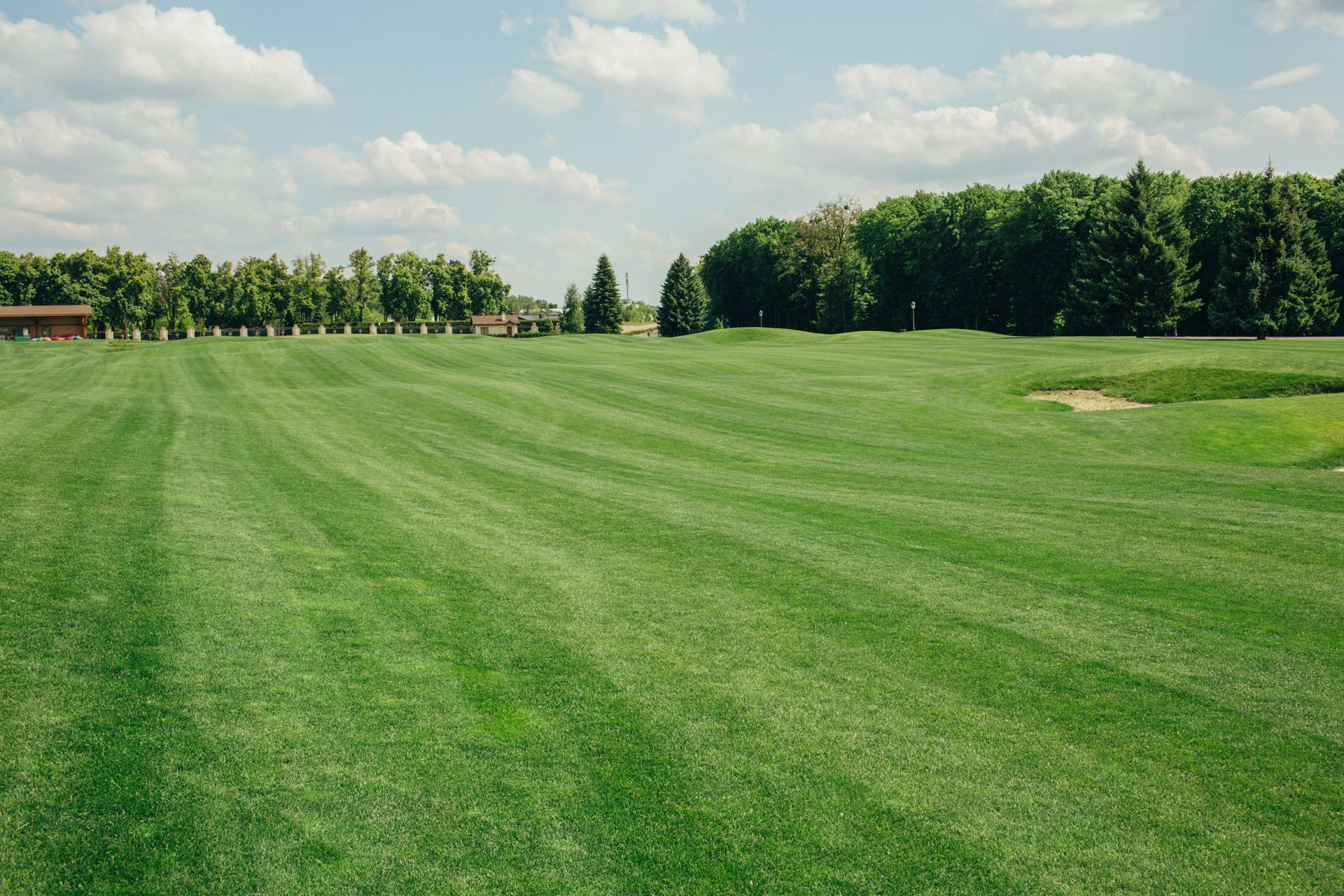 Wide green grassy field with trees along the horizon under a clear sky