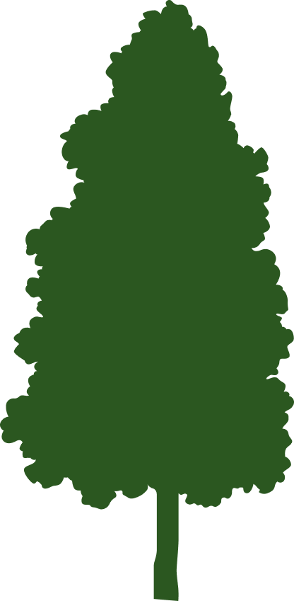 Green leafy tree silhouette with a narrow trunk