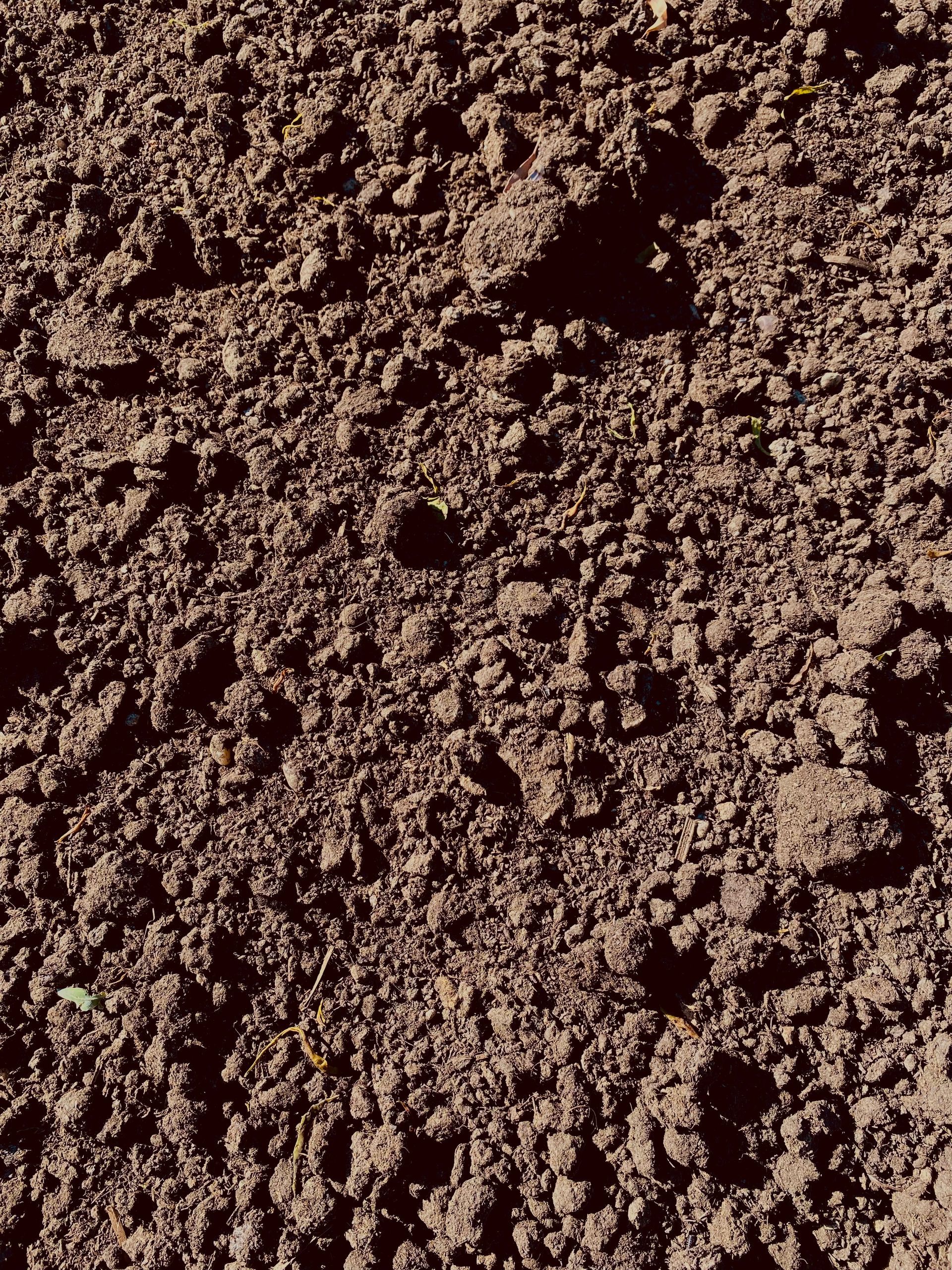 Manure — Port Stephens, NSW — Thunder Landscape Supplies