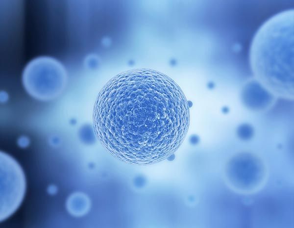 DR. GERARDO GARFIAS CHÁVEZ URÓLOGO - Tratamientos contra el cáncer