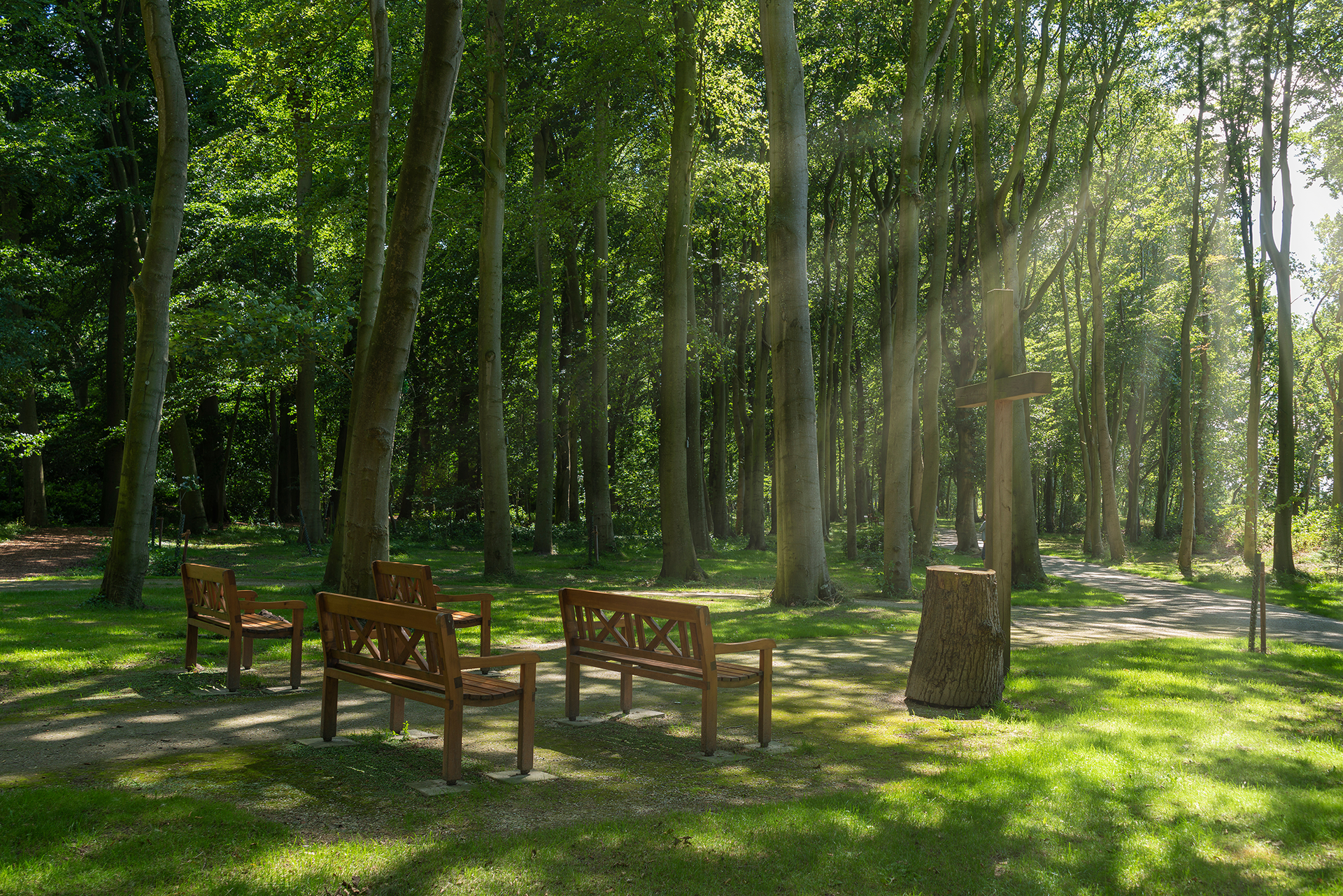 Honest, compassionate funeral & cremation services