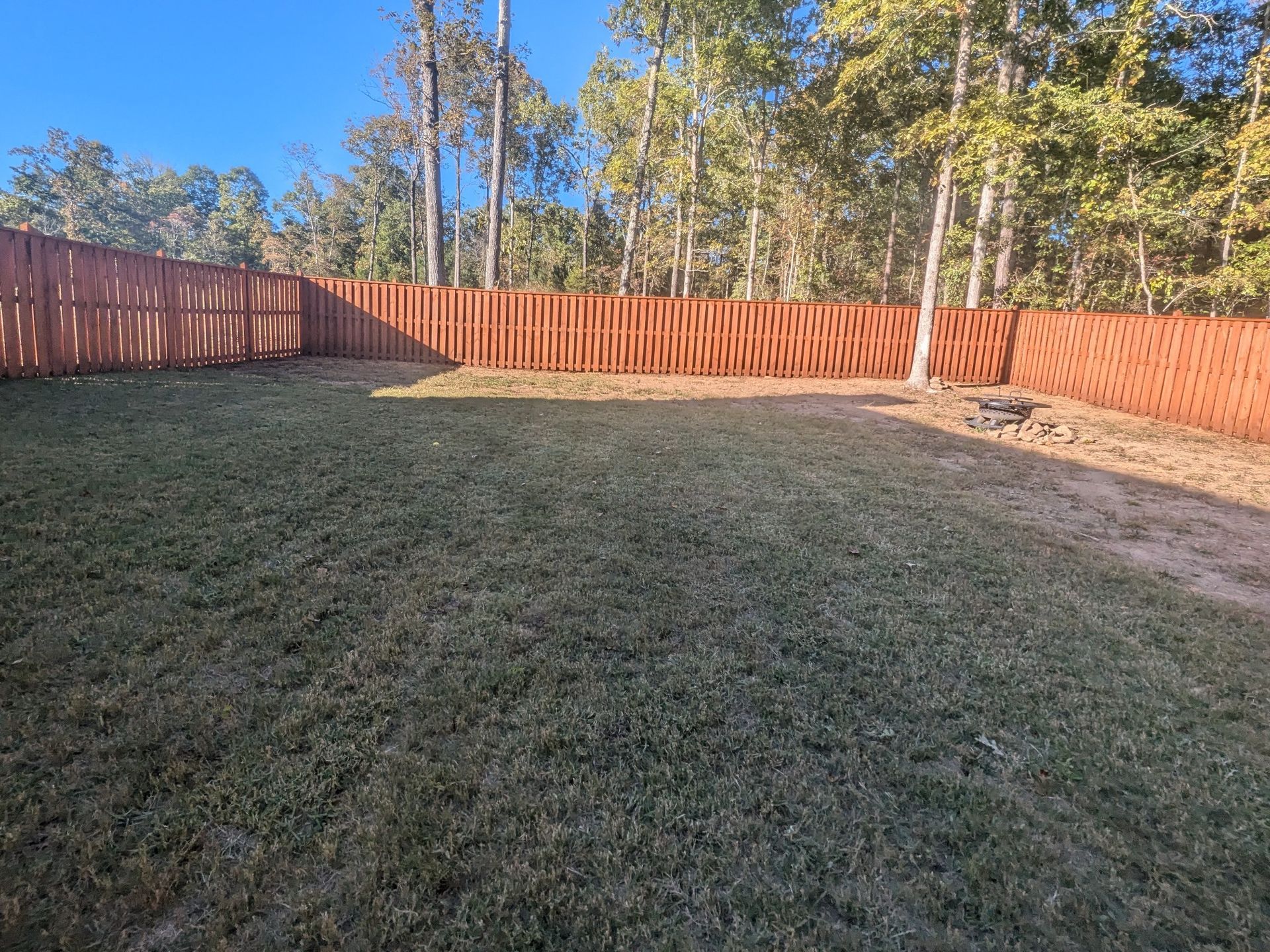 A grassy backyard enclosed by a brown wooden fence, trees in the background. Sunny day.