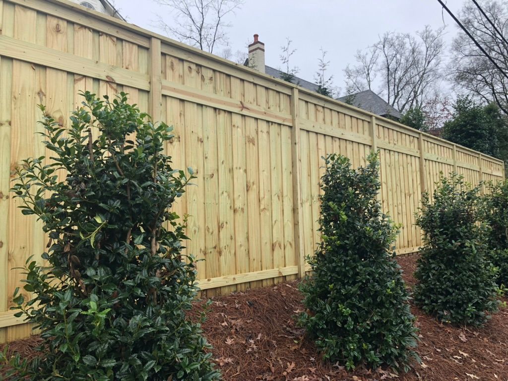 Wooden fence with evergreen bushes in front.