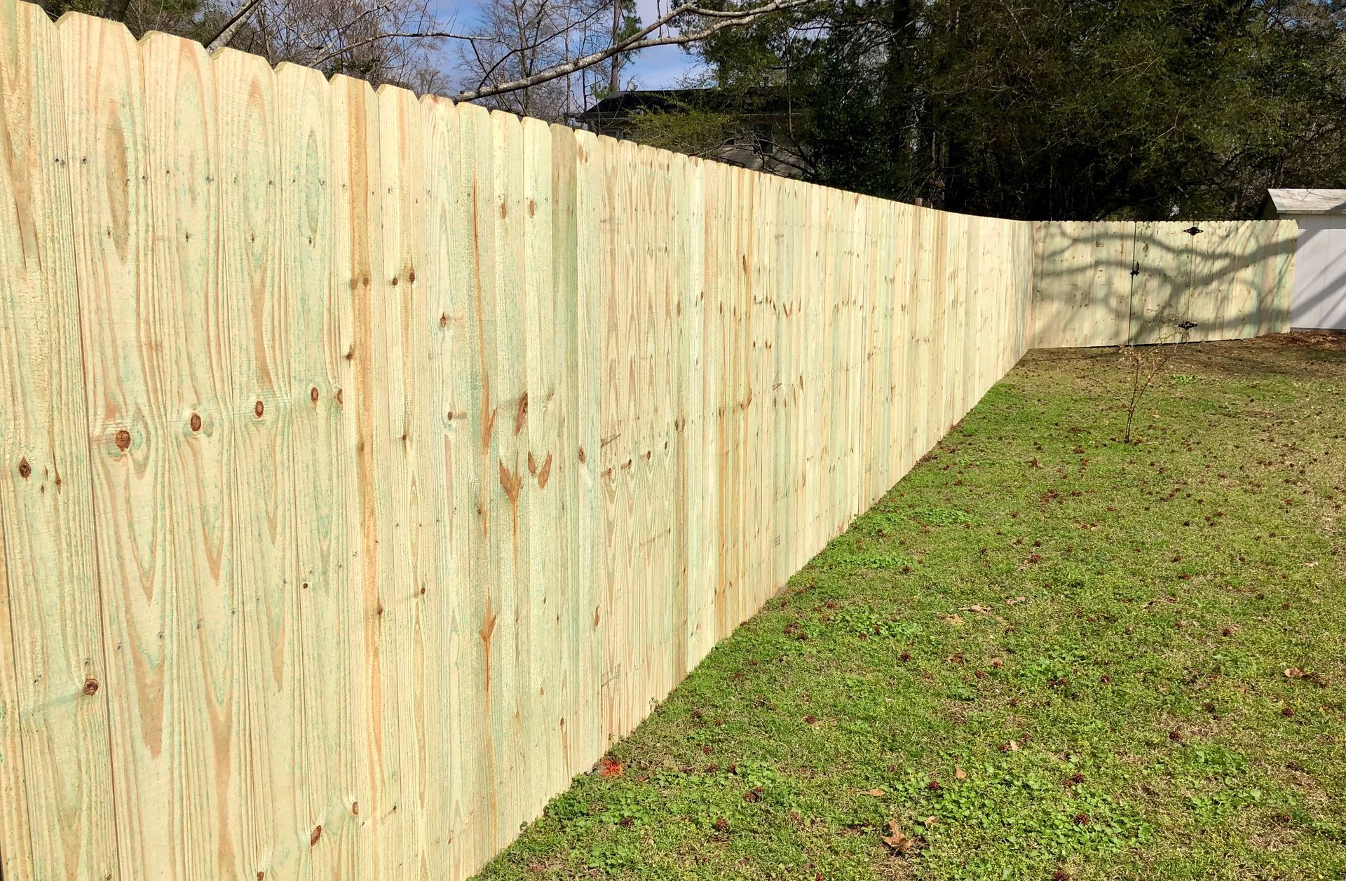 Wooden fence along a grassy lawn, with trees in the background.