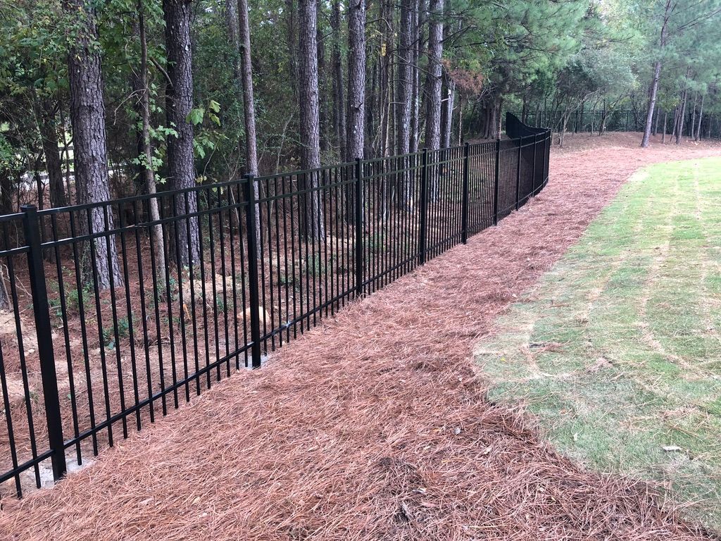Black metal fence bordering a pine straw-covered slope in a wooded area with grass on the other side.
