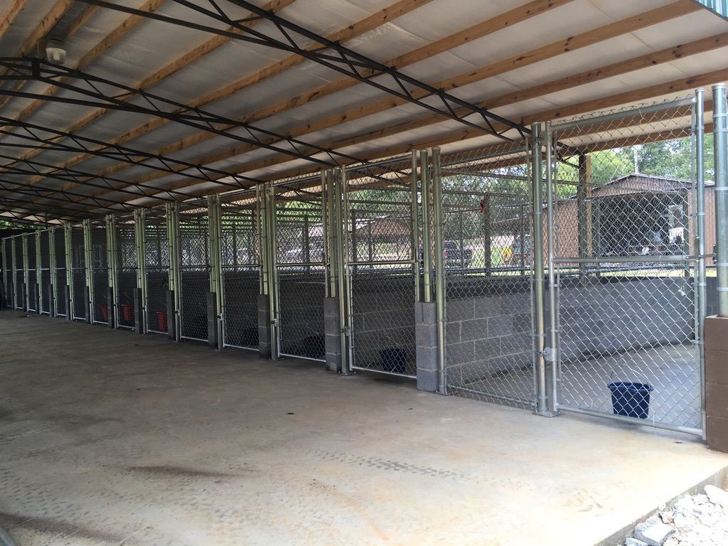 Dog kennels under a covered shelter, constructed with metal frames, chain-link fences, and concrete block walls.