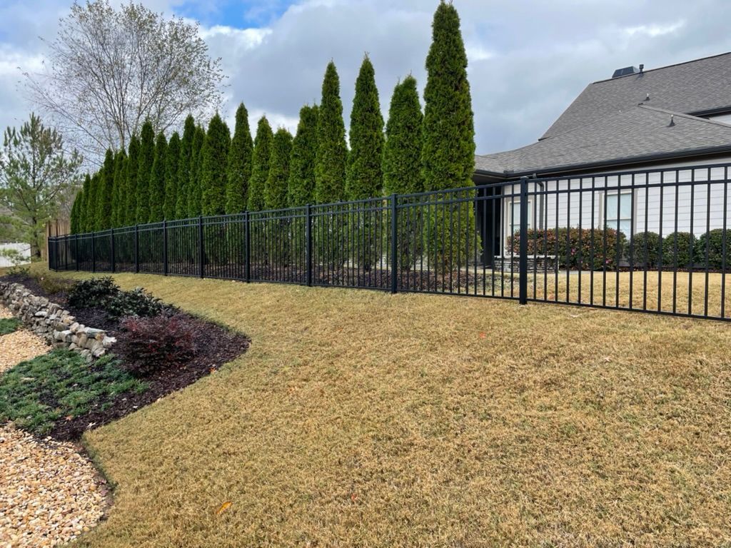 Black metal fence and green arborvitae trees beside a house with brown roof.