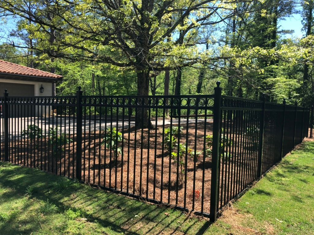 Black metal fence encloses a landscaped area with mulch, saplings, and a large tree in front of a house.