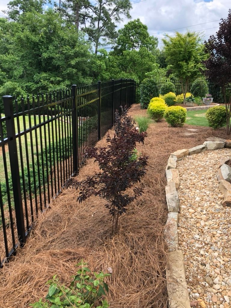 Black metal fence alongside a garden bed with red and green plants, mulched with pine straw.