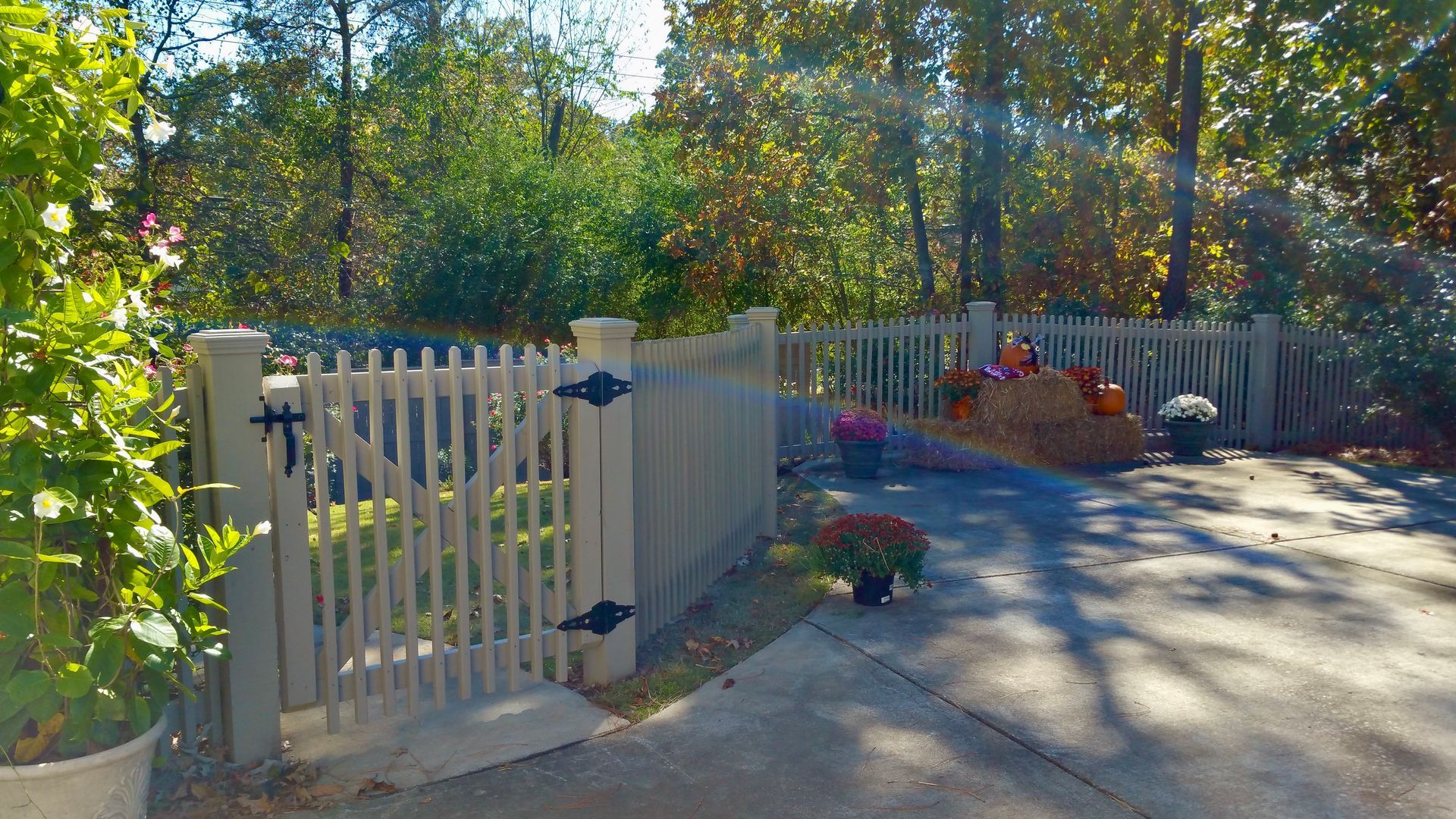 Cream-colored picket fence and gate, leading to a yard with fall decorations, trees in the background.