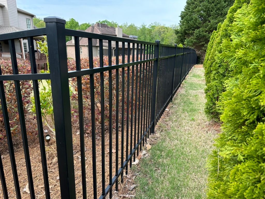 Black metal fence along a grassy lawn, with bushes to the right and shrubs behind the fence.