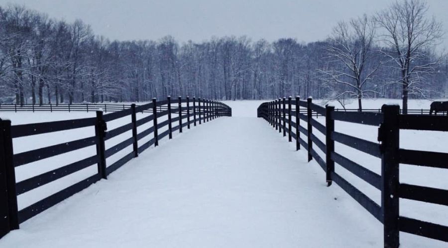 Black wooden farm fence lining a snow-covered path in winter
