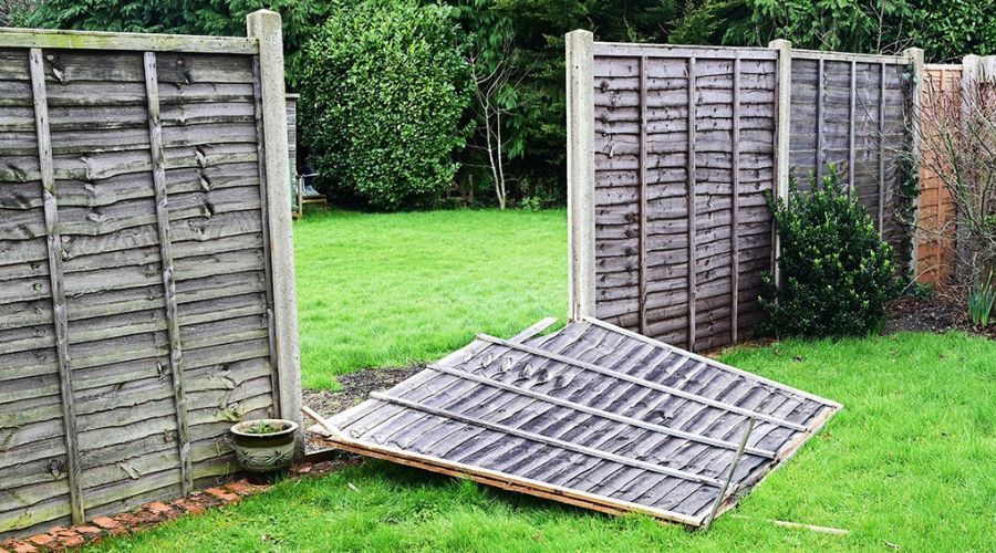 Broken wooden privacy fence panel completely fallen onto a green backyard lawn