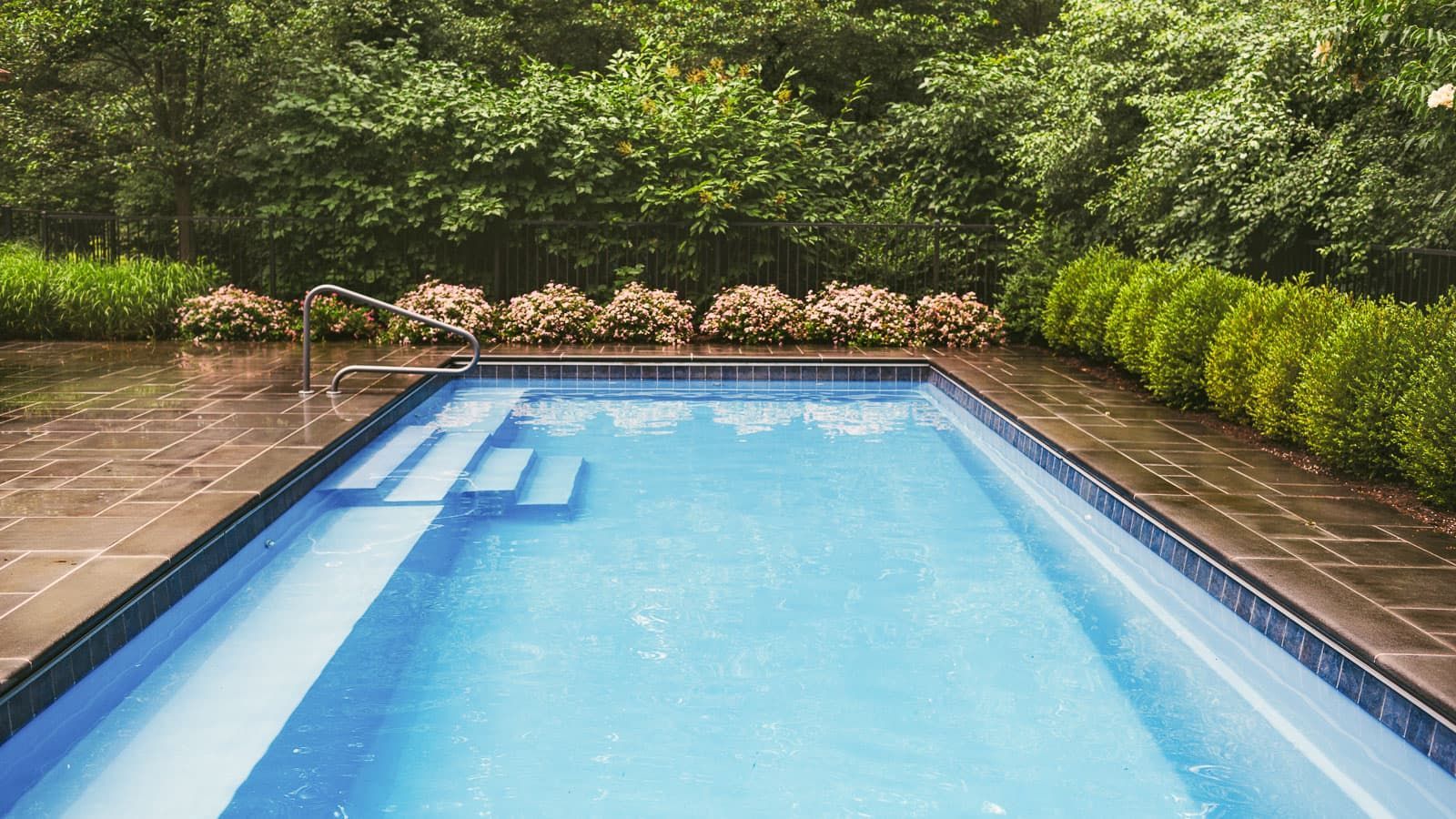 Empty backyard swimming pool with blue water, stone deck, hedges, and flowering shrubs along the far edge