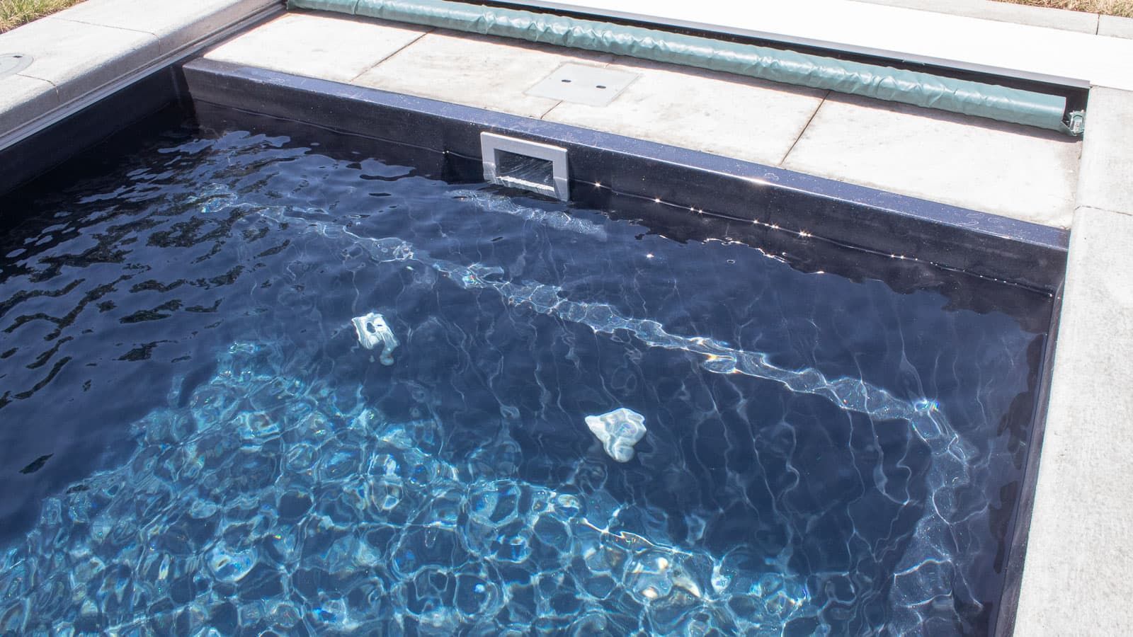 Modern backyard pool with blue water and glass edge detail
