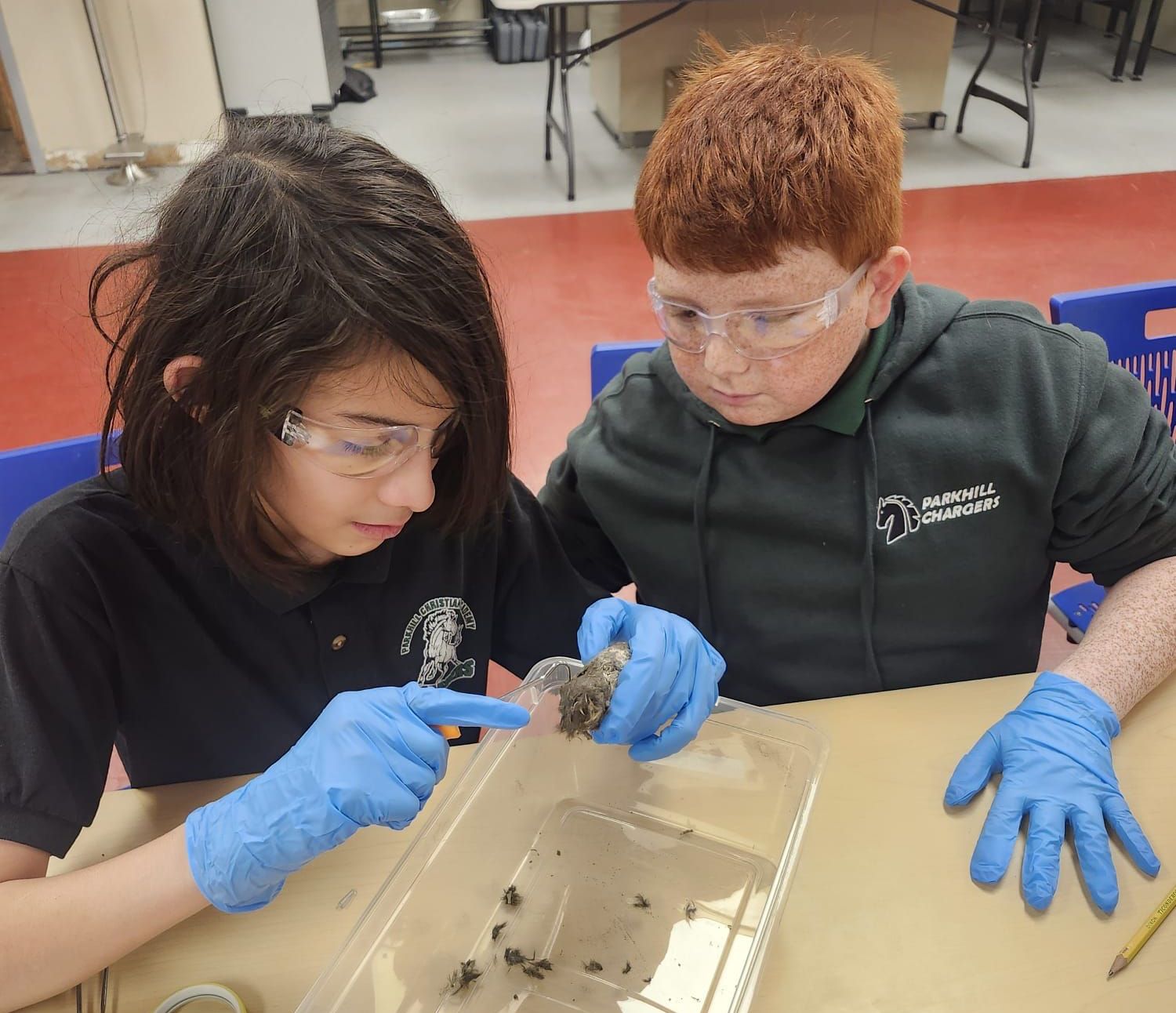 school kids doing science