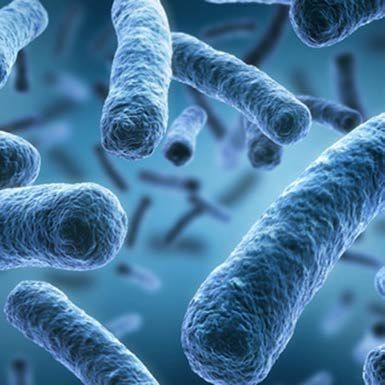 legionella