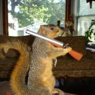 A taxidermy squirrel stands upright in a living room, holding a small toy rifle across its shoulders.
