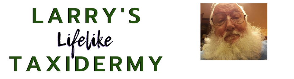 Logo for 