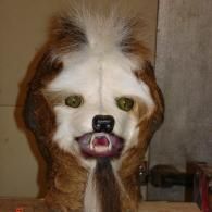 A taxidermy creature with brown and white fur, green eyes, and a small beard, mounted on a wooden surface.