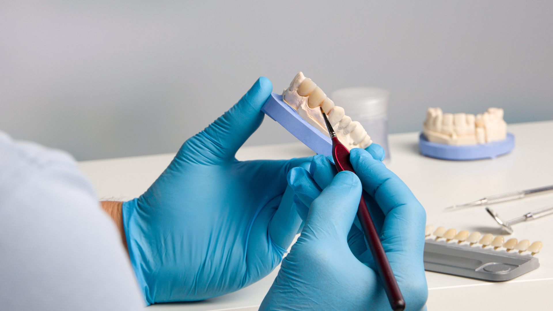 A dentist is working on a model of teeth with a brush.