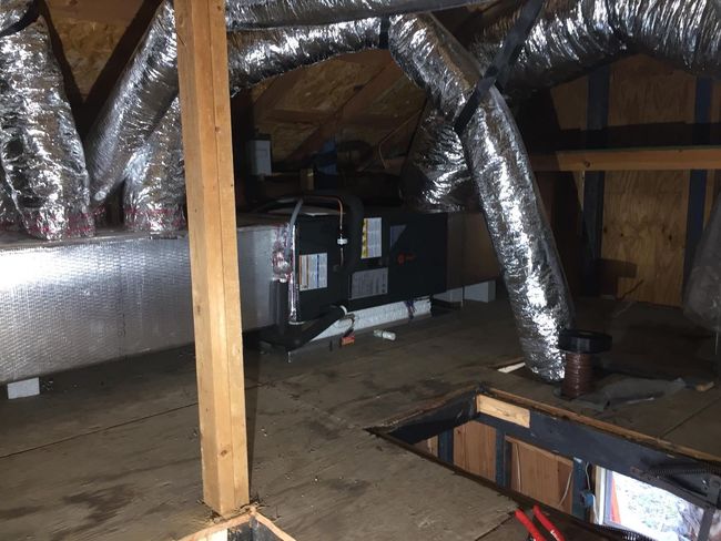 Asbestos Services