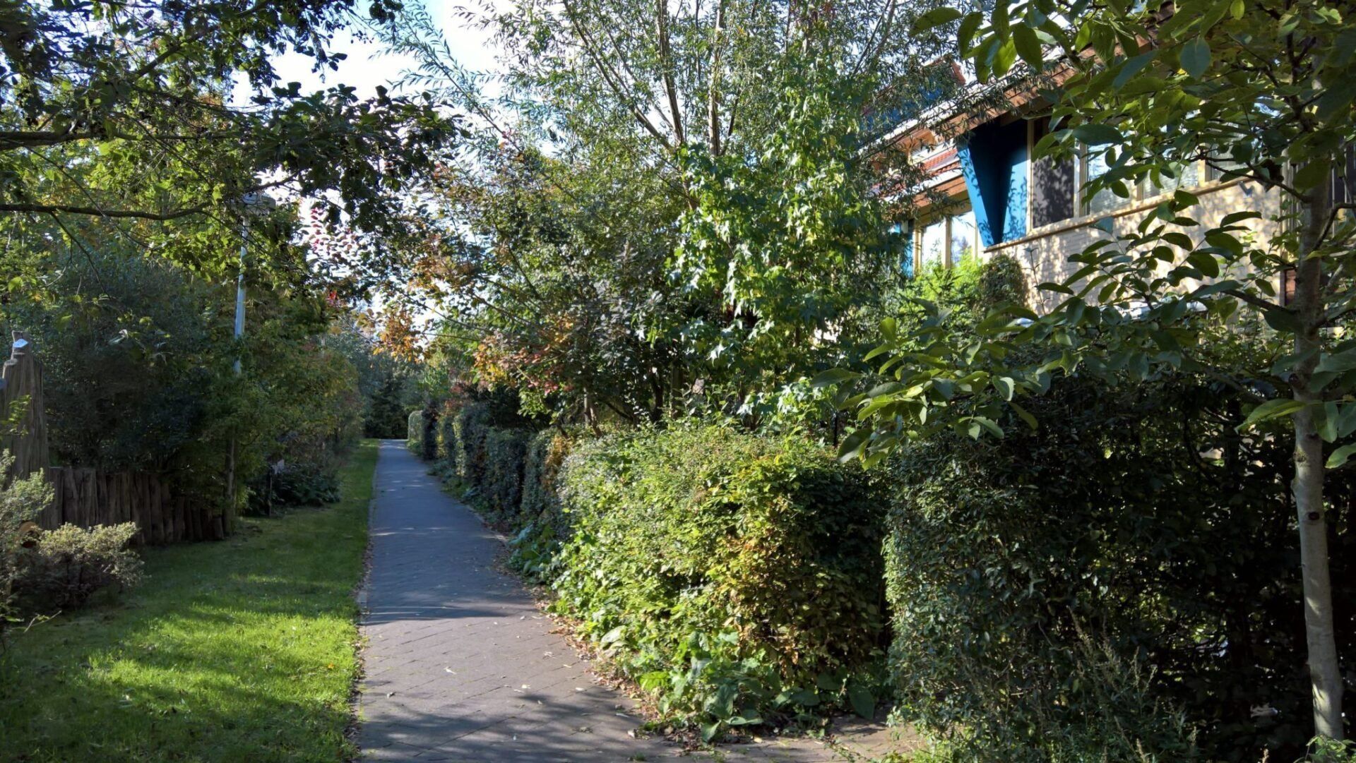 Een smal trottoir, omzoomd met groene hagen en bomen, leidt langs woningen.