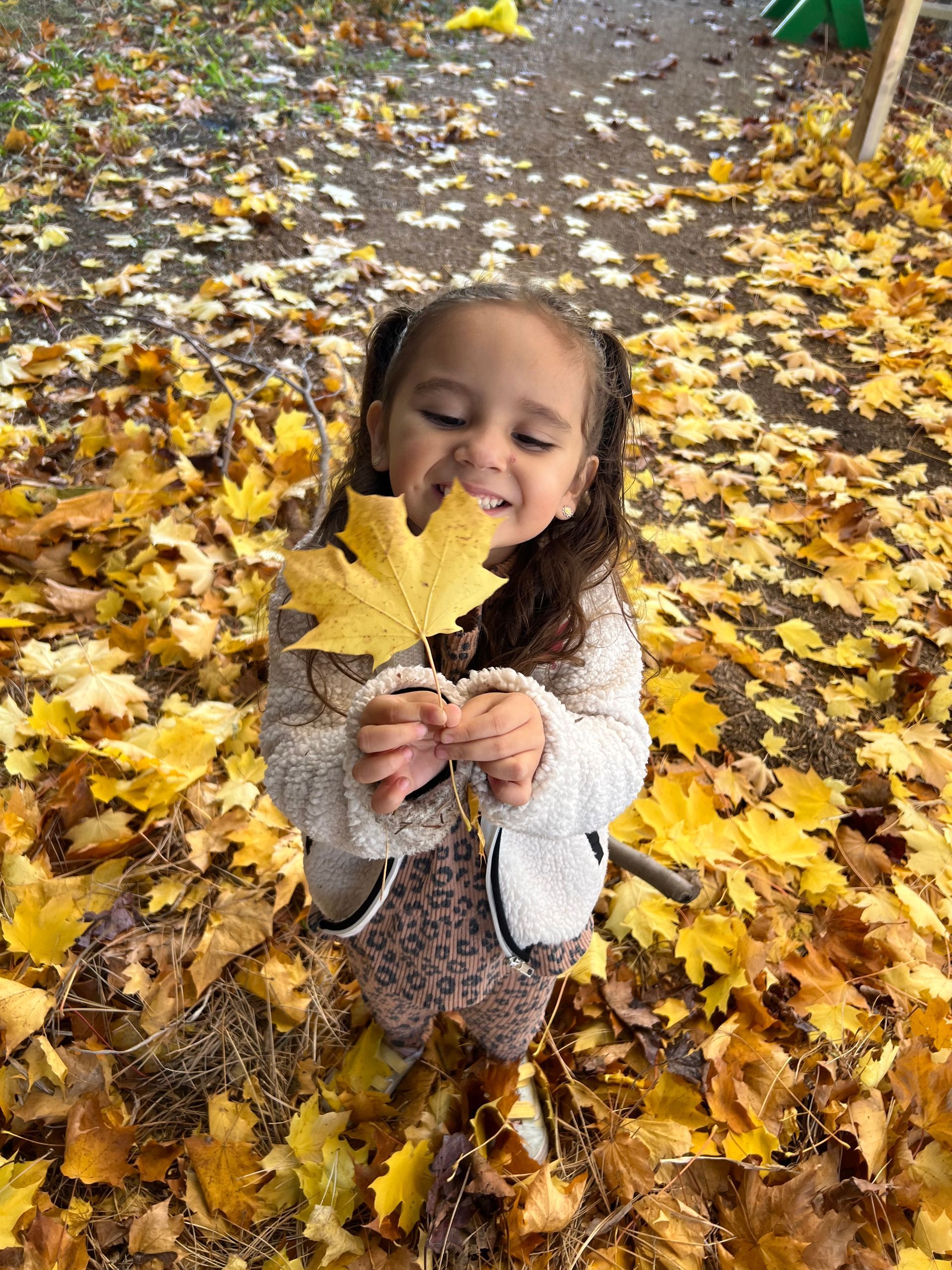 montessori child holding a leaf 