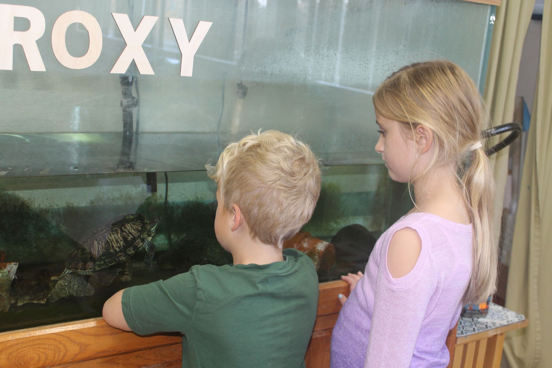 montessori children outside the classroom