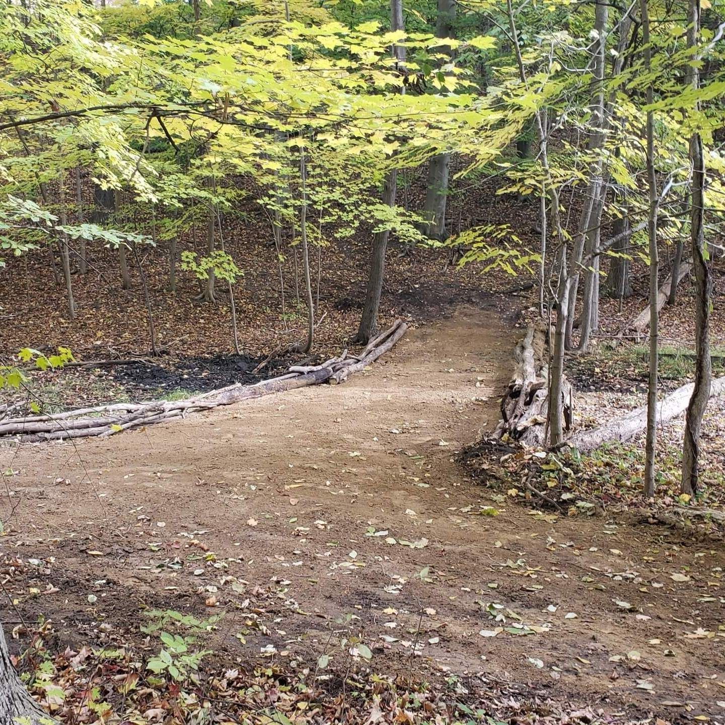 Dirt path through a forest, leading to a small bridge; fall foliage surrounds.